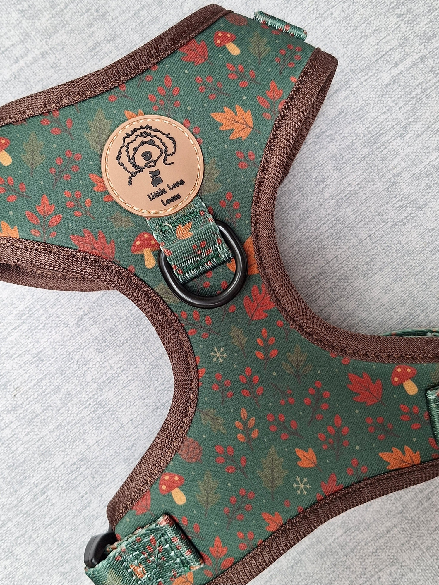 💚 Woodland Walkies 💚