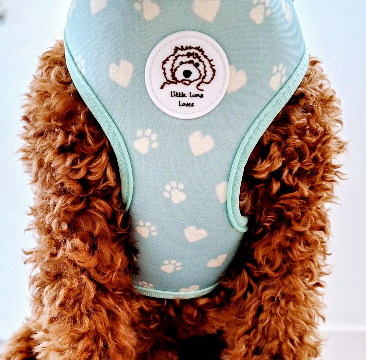 close up of a light green dog harness