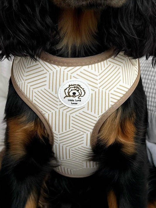 Close up of an adjustable dog harness with cream neutral design