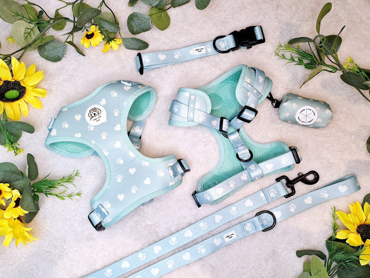 Adjustable green dog harness, with matching collar, lead and poop bag holder