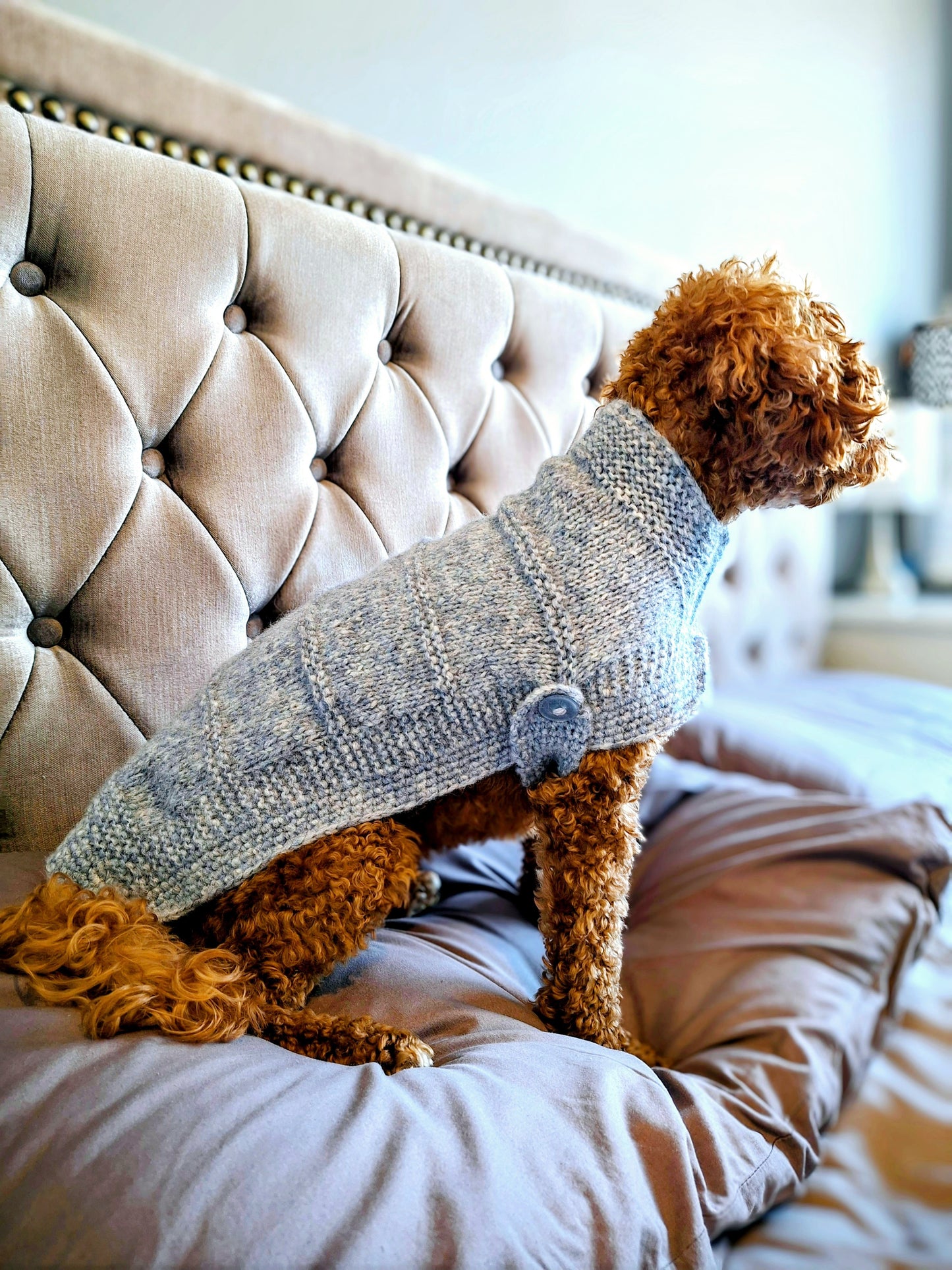 dog sitting on a bed wearing a light blue hand knitted dog jumper