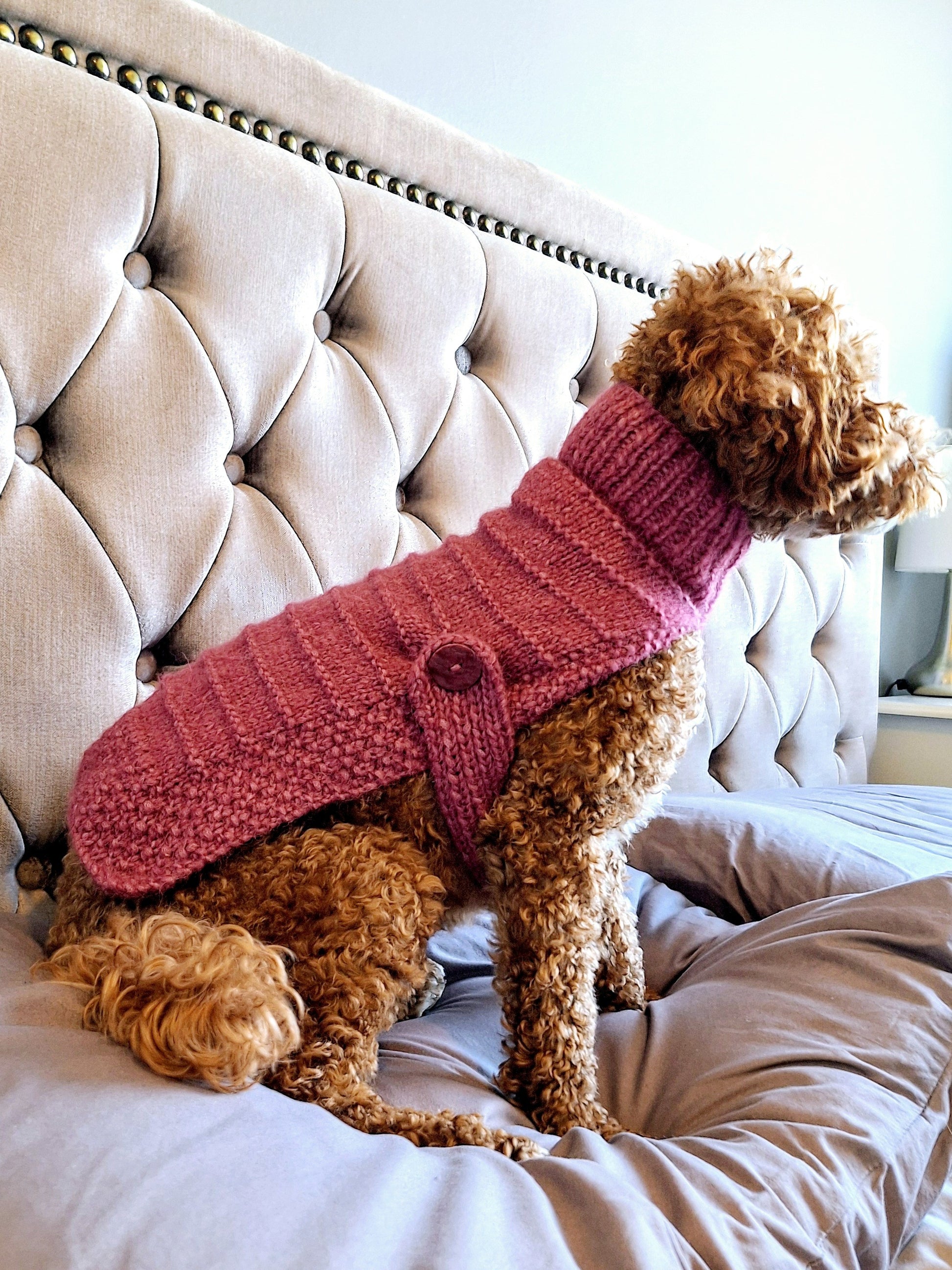 A dog wearing a dark pink knitted sweater while sitting on a bed.