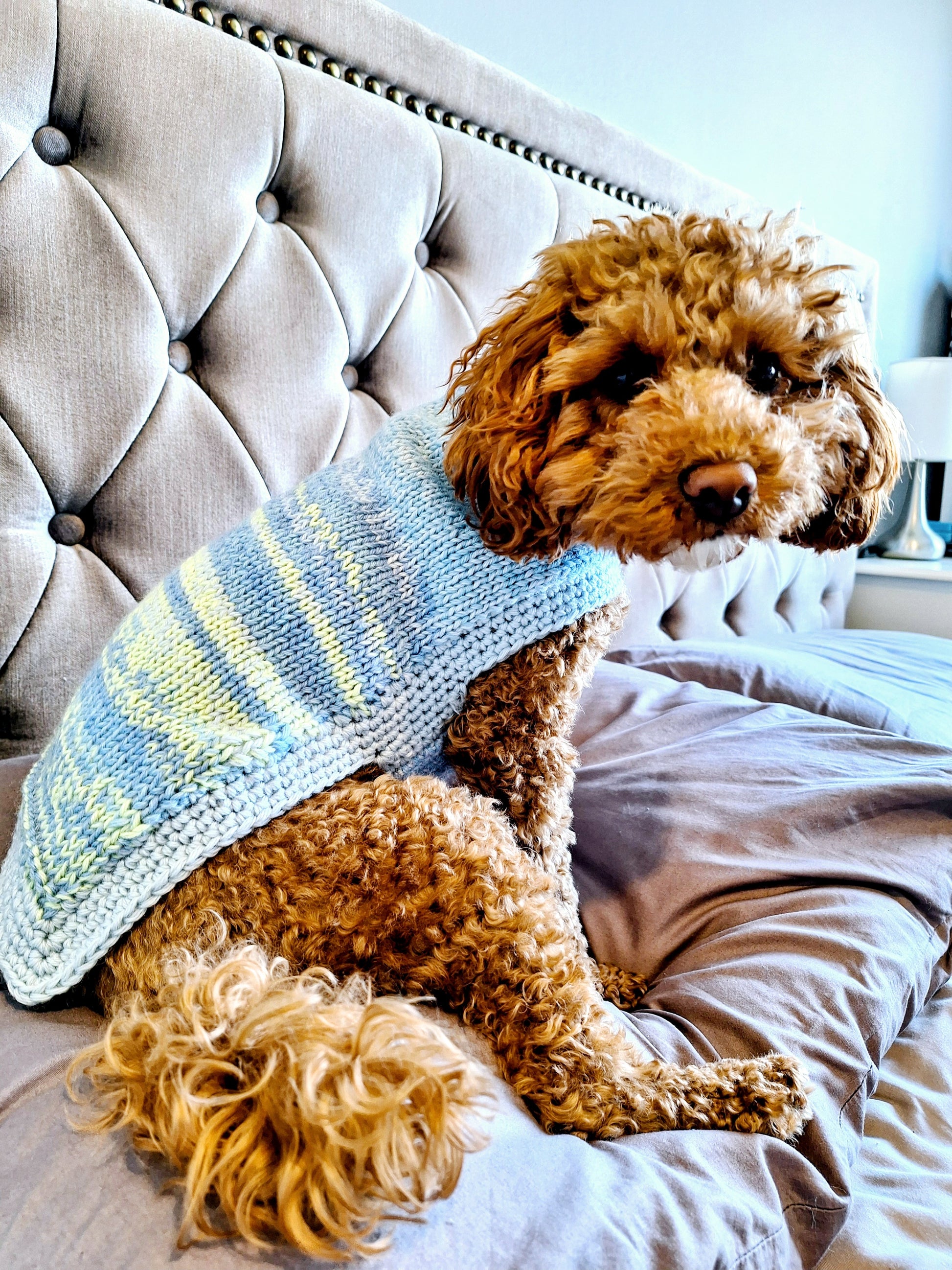 A dog wearing a hand knitted wool jumper with green and blue stripes, sitting on a bed.