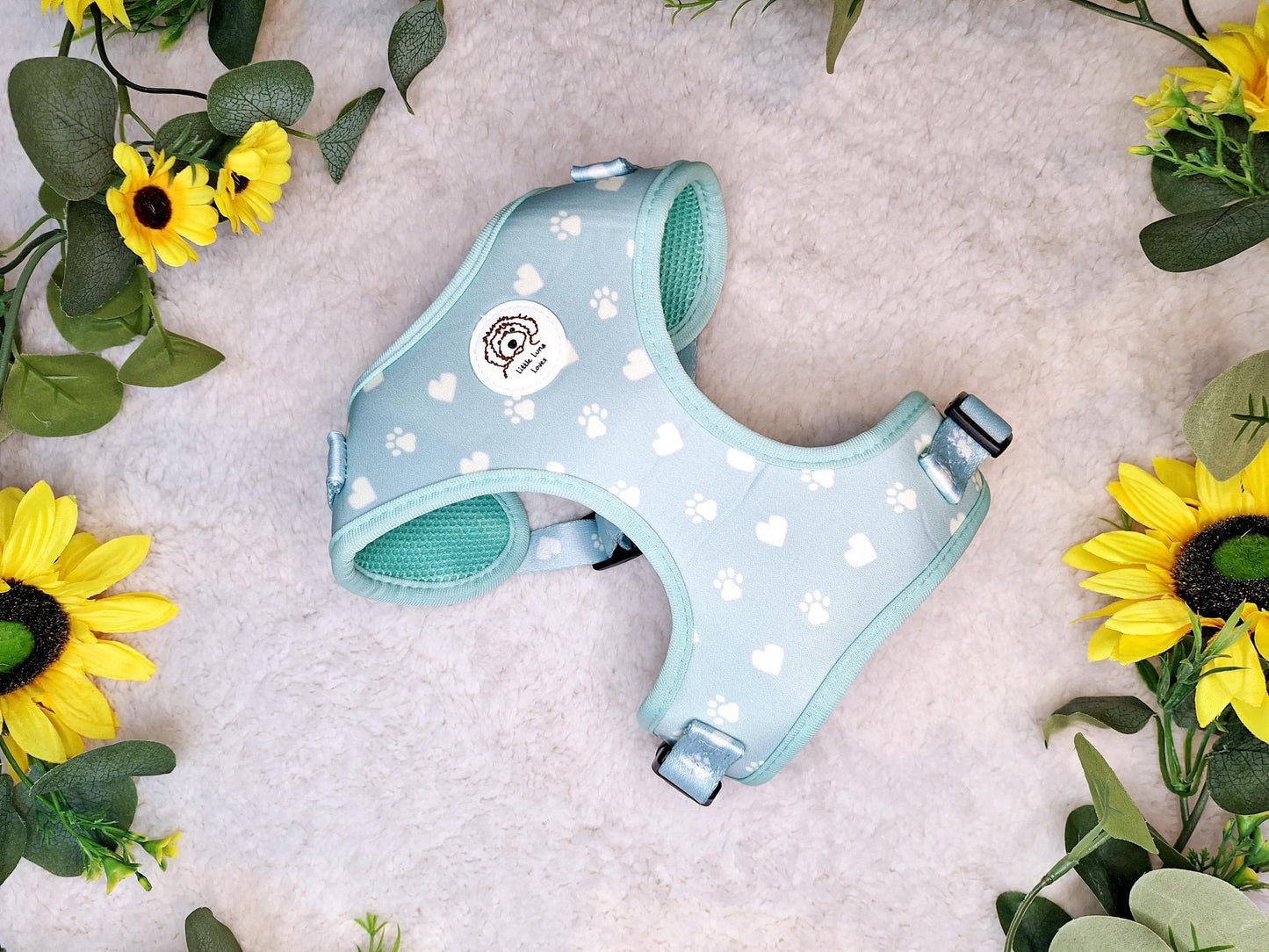 Paws For Love 4pcs matching set