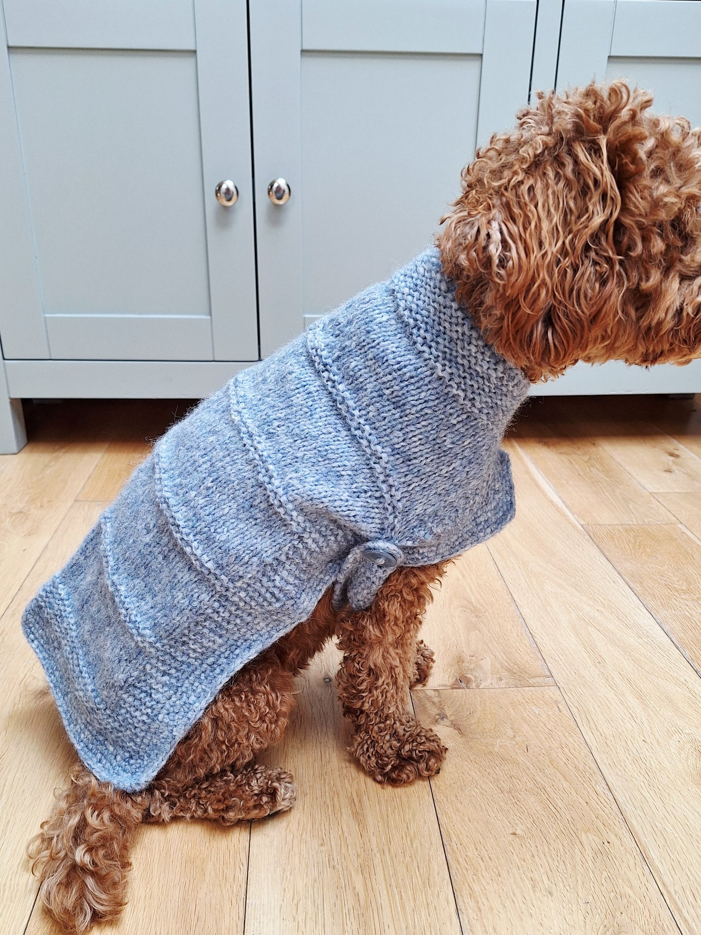 Dog Jumper - blue