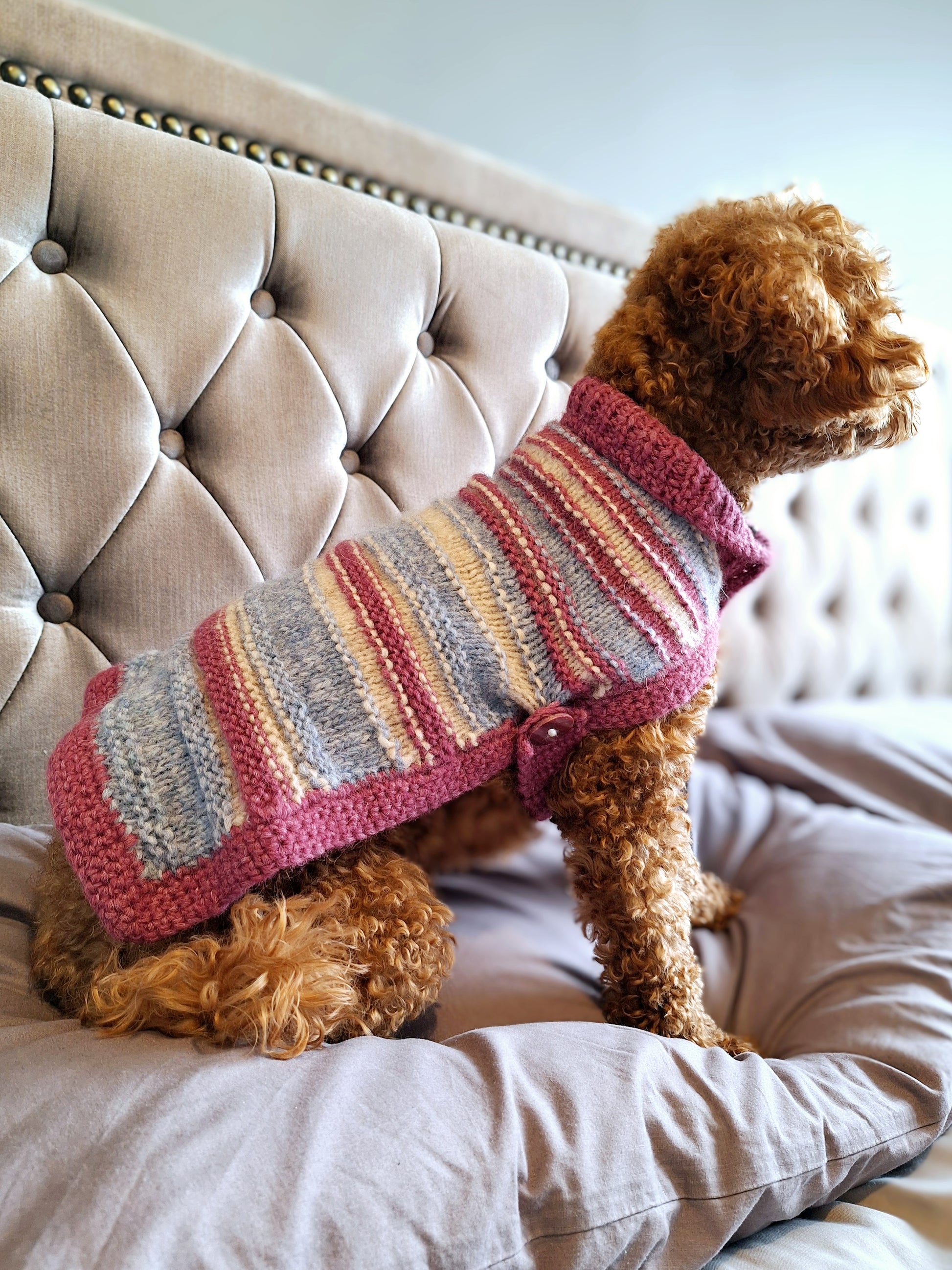 dog sitting on a bed wearing a pink, cream and blue stripped dog jumper with button detail