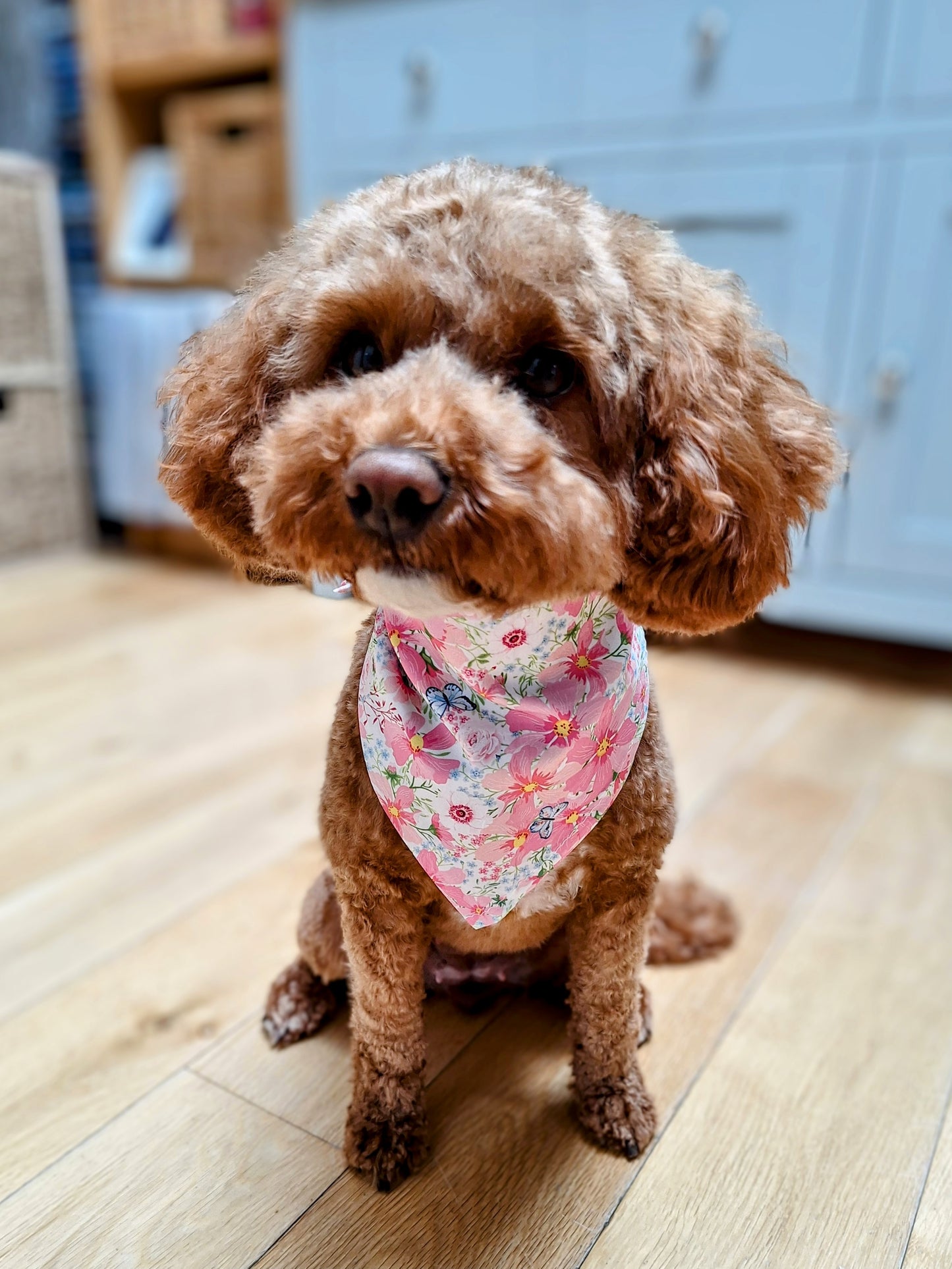 Cute dog wearing doggy bandana with floral pattern