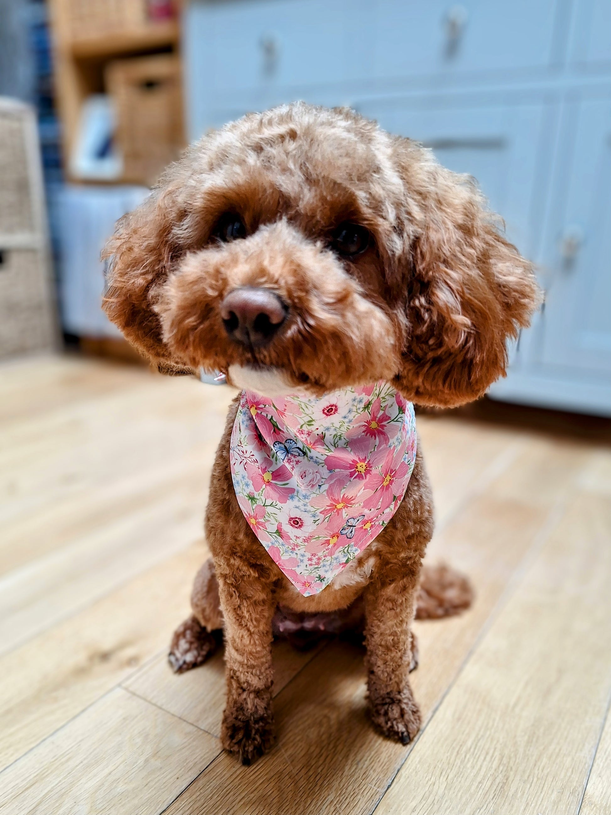 Cute dog wearing doggy bandana with floral pattern