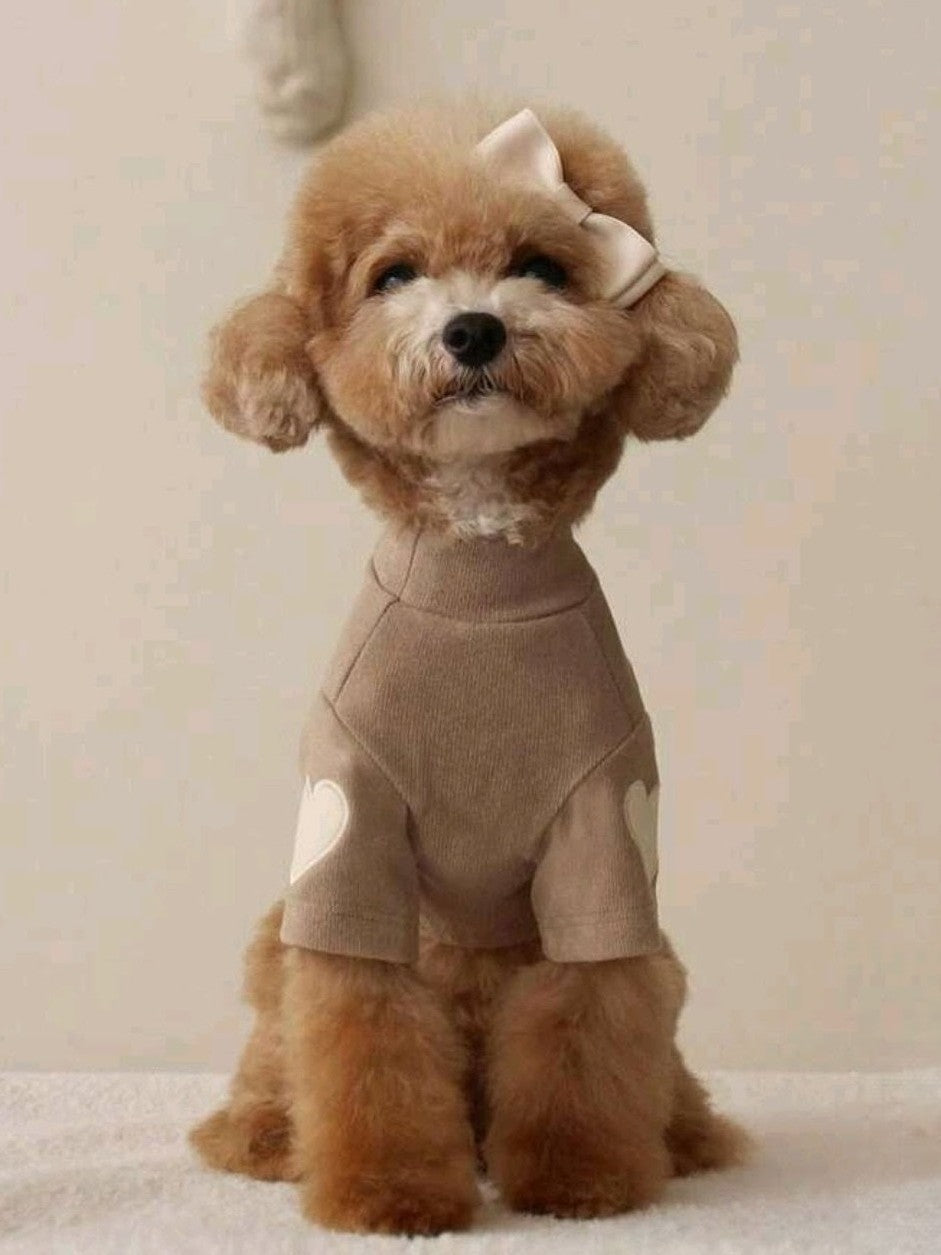 Small dog wearing a brown outfit with heart patterns on a light background