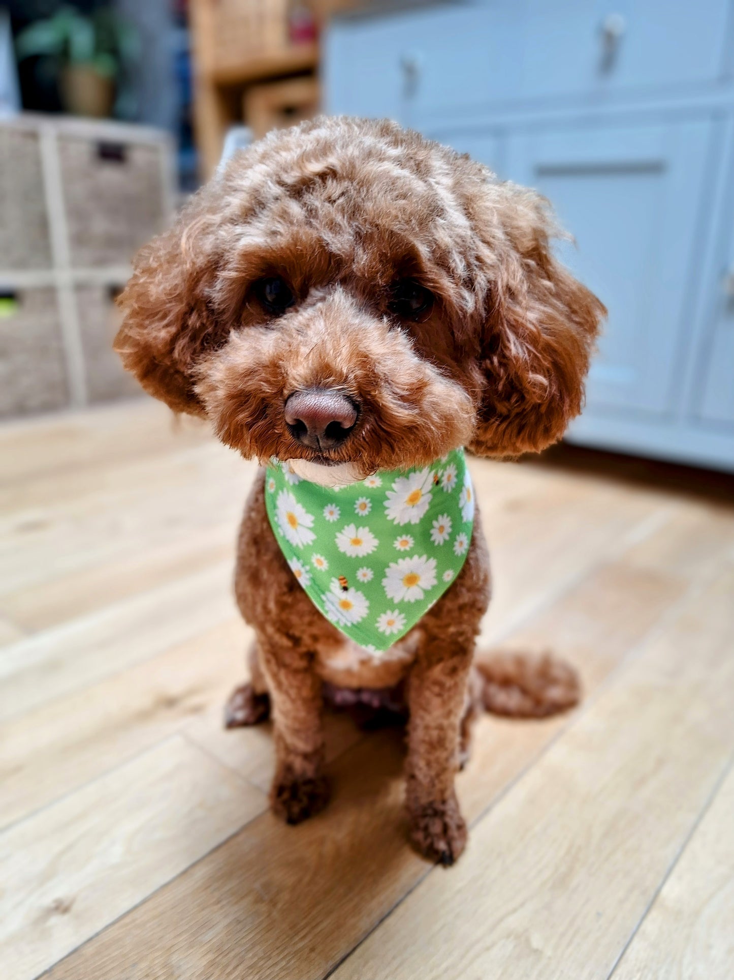Dog neck tie bandana - Floral Green