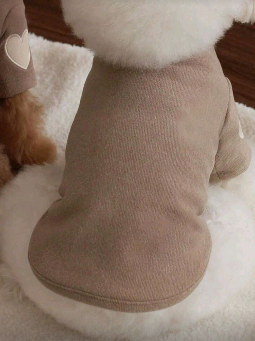 Dog Jumper - beige & cream