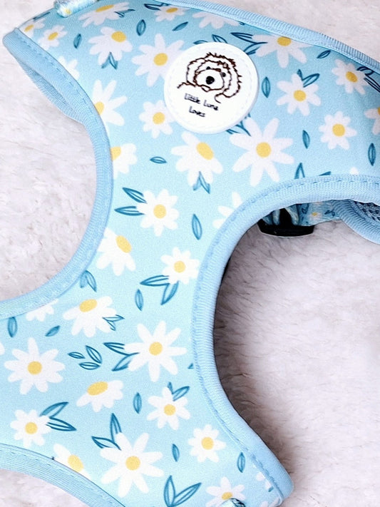 Adjustable neoprene dog harness with Daisy design