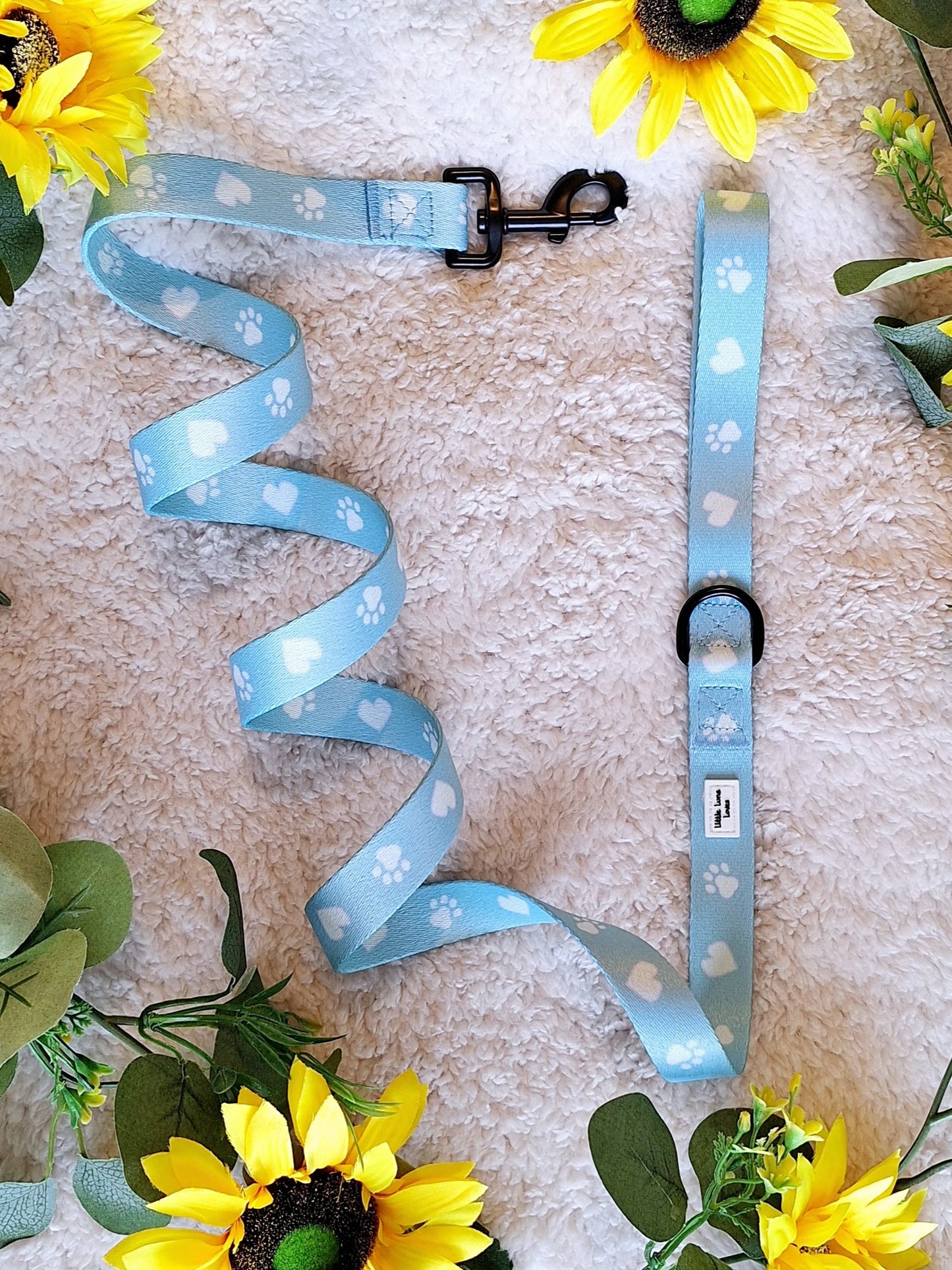 A blue dog lead with white paw prints, laid out on a white surface surrounded by sunflowers.