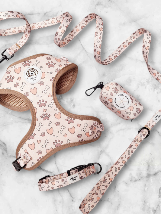 Dog harness with bone, paw and hearts design, laid out with a matching collar, lead and poop bag holder