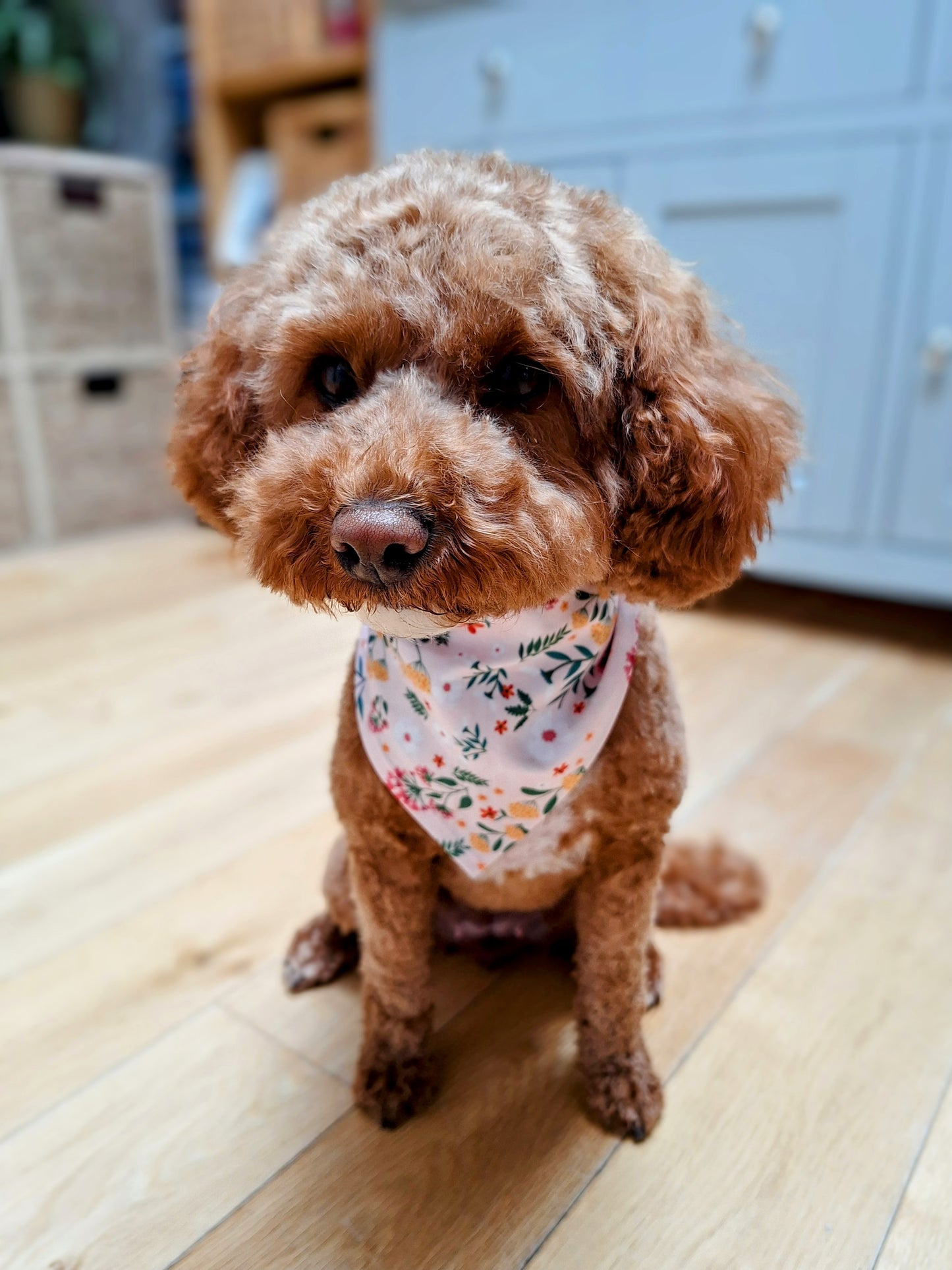 Small dog wearing a floral style neck bandana