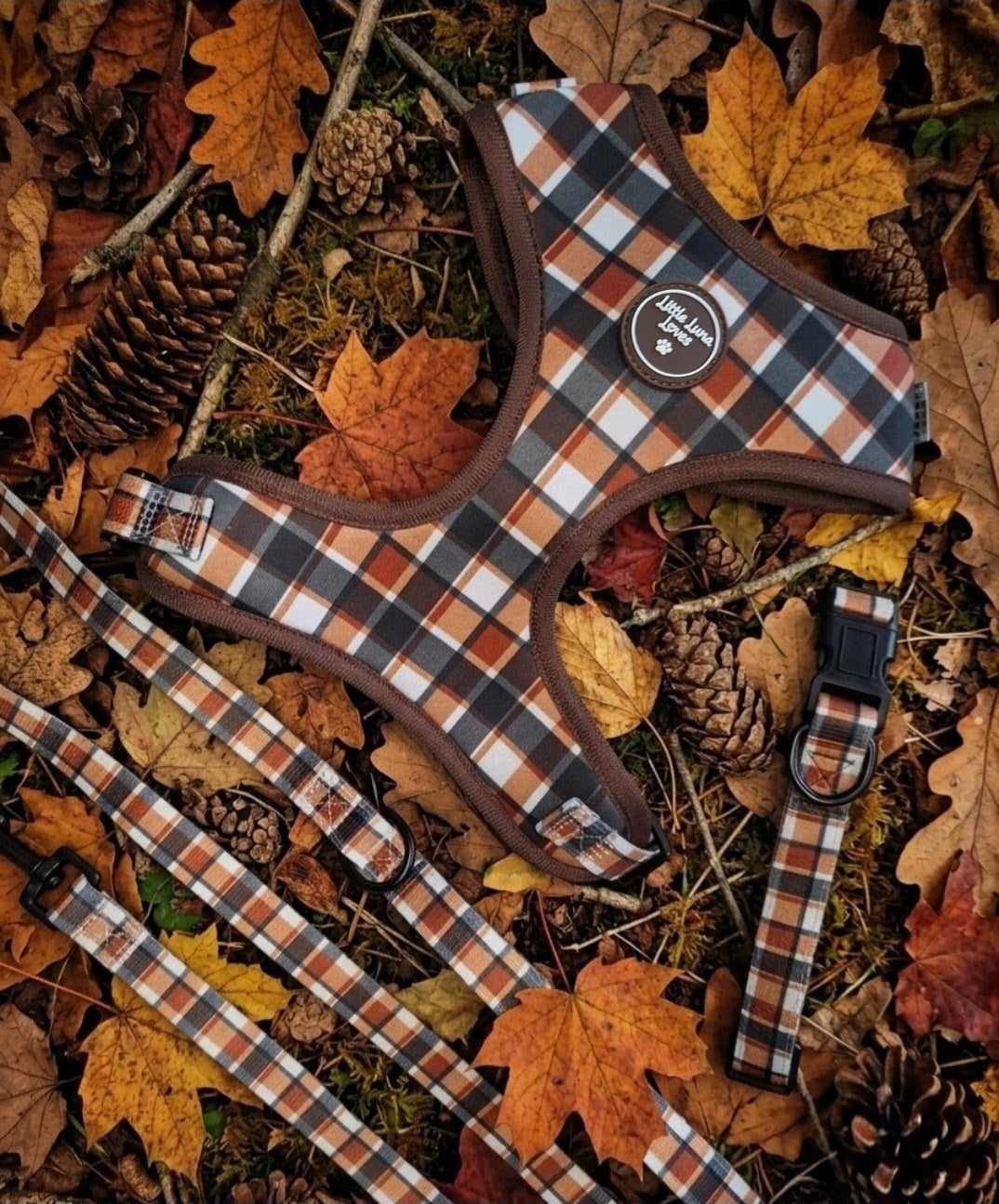 Tartan Plaid checked dog harness, collar and lead. AUTUMN LEAVES 