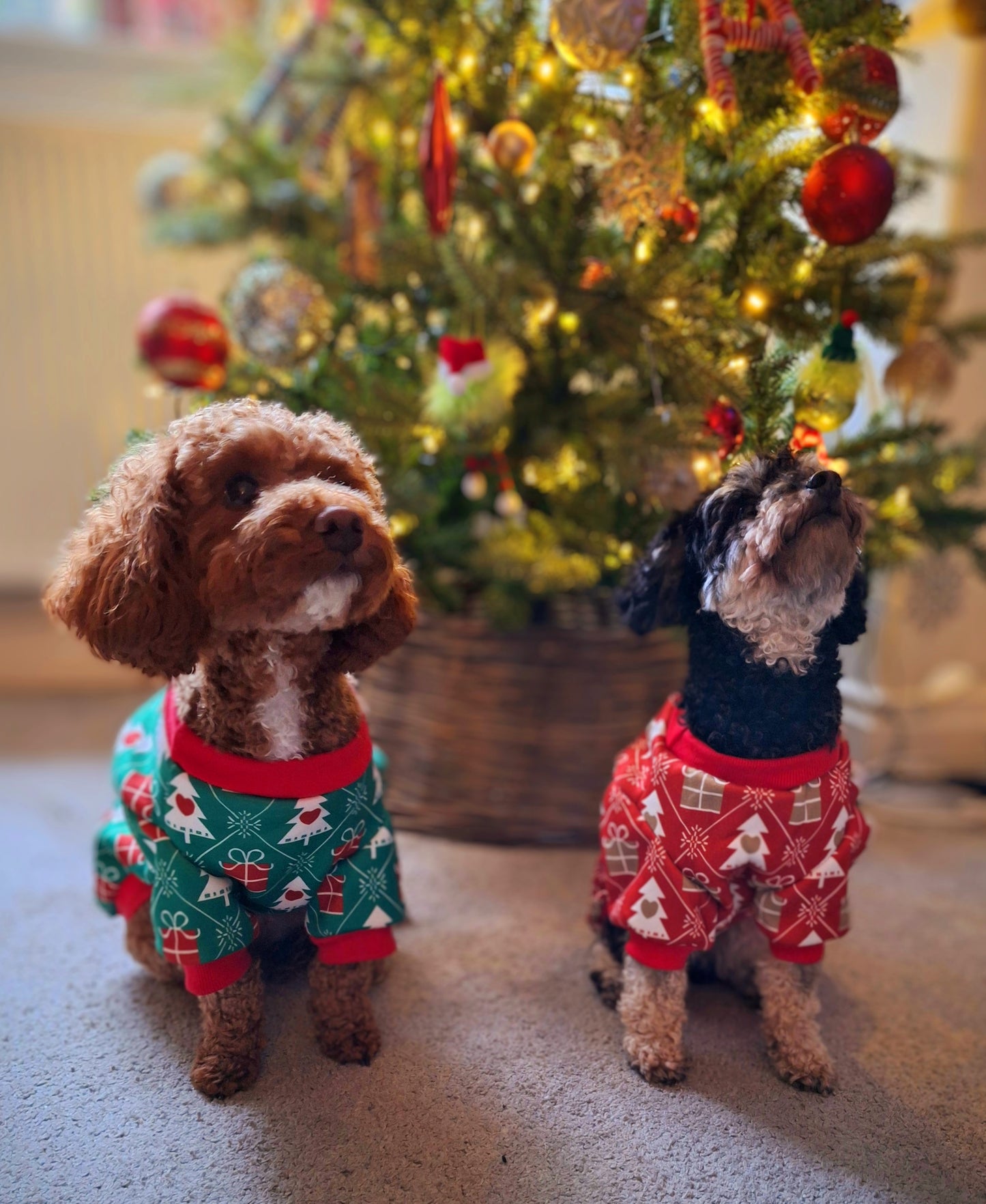 Dog Christmas Jumpers