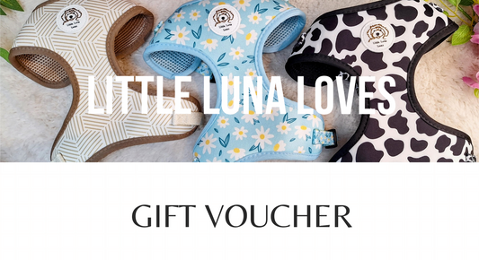 Little Luna Loves gift card