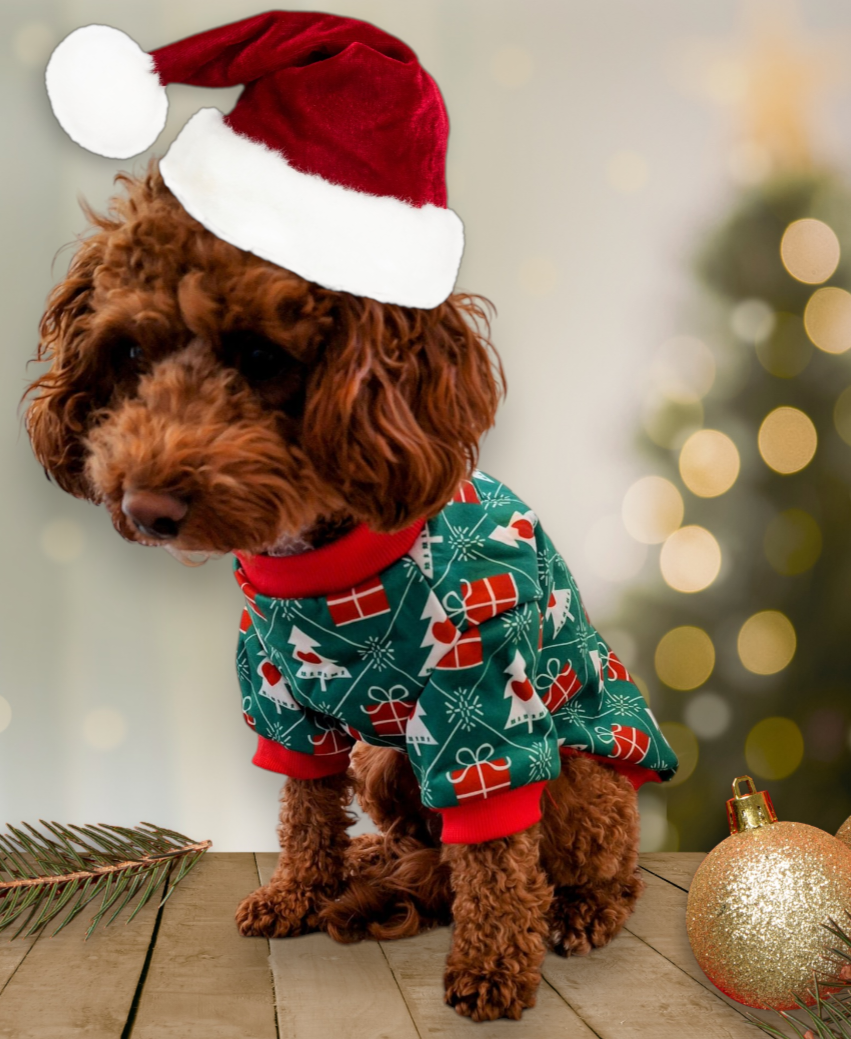 Dog Christmas Jumpers