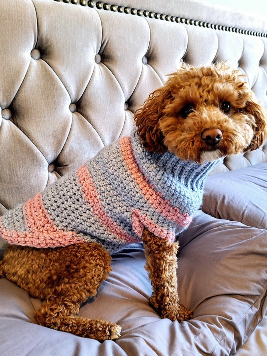 A dog wearing a striped patterned wool jumper in pink and blue colors.