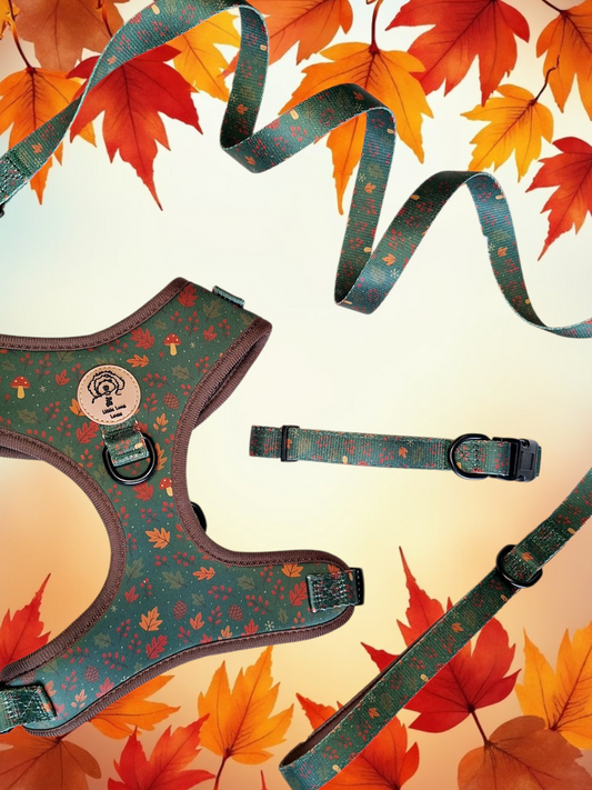 Dog harness matching set - 3pcs - Woodland Walkies