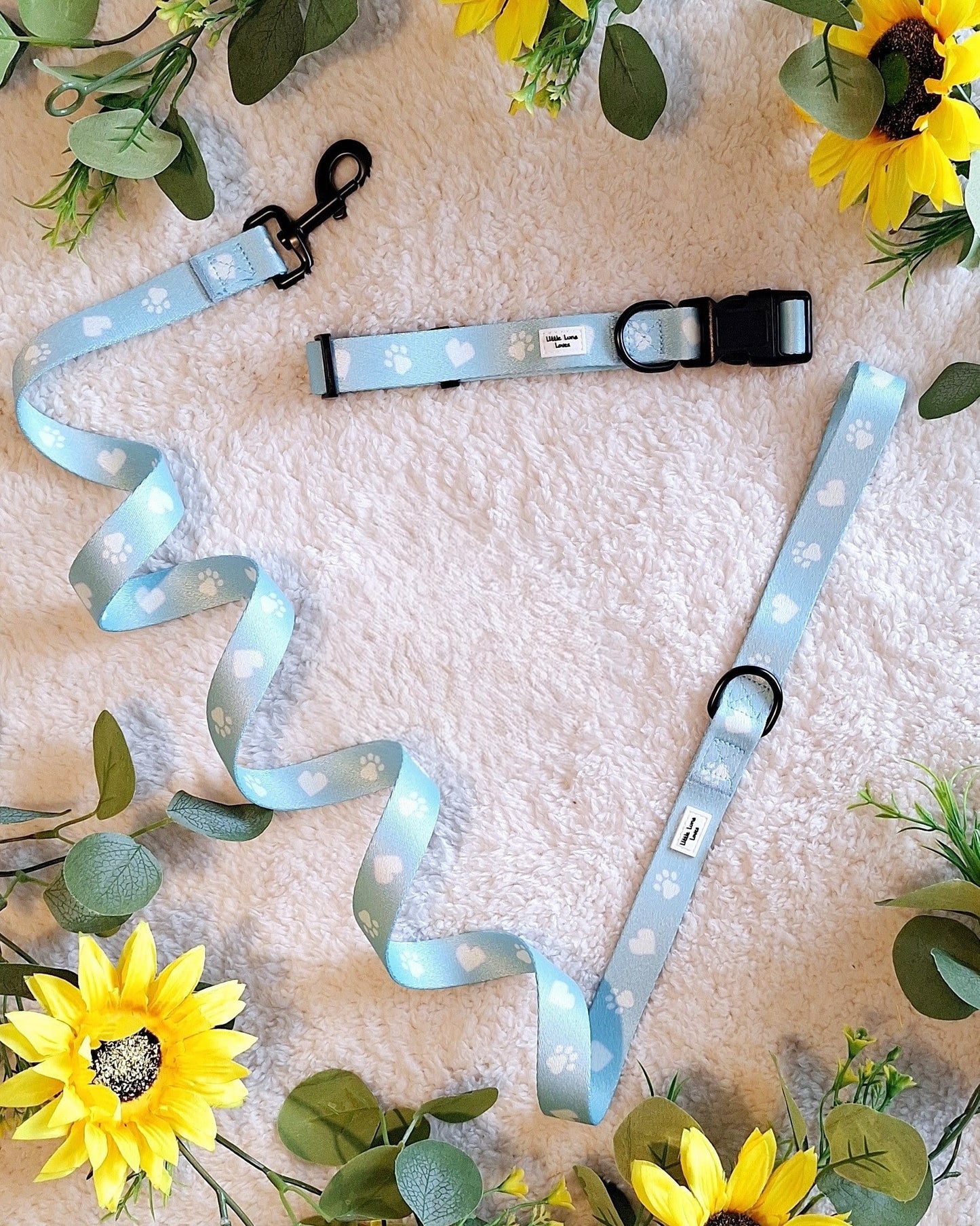 Paws For Love- Dog Collar & Lead set