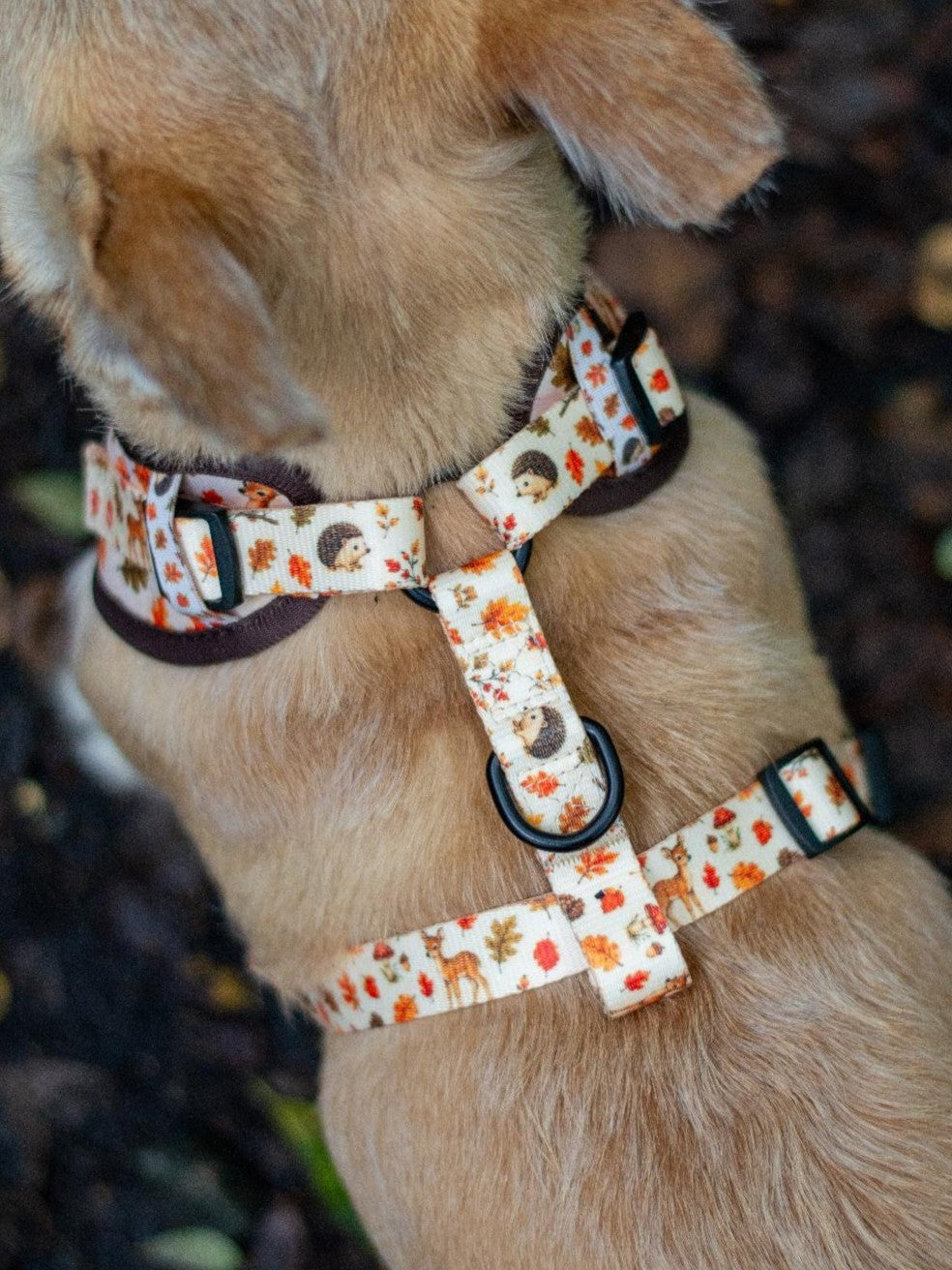 Adjustable Dog Harness - Forest & Fawn