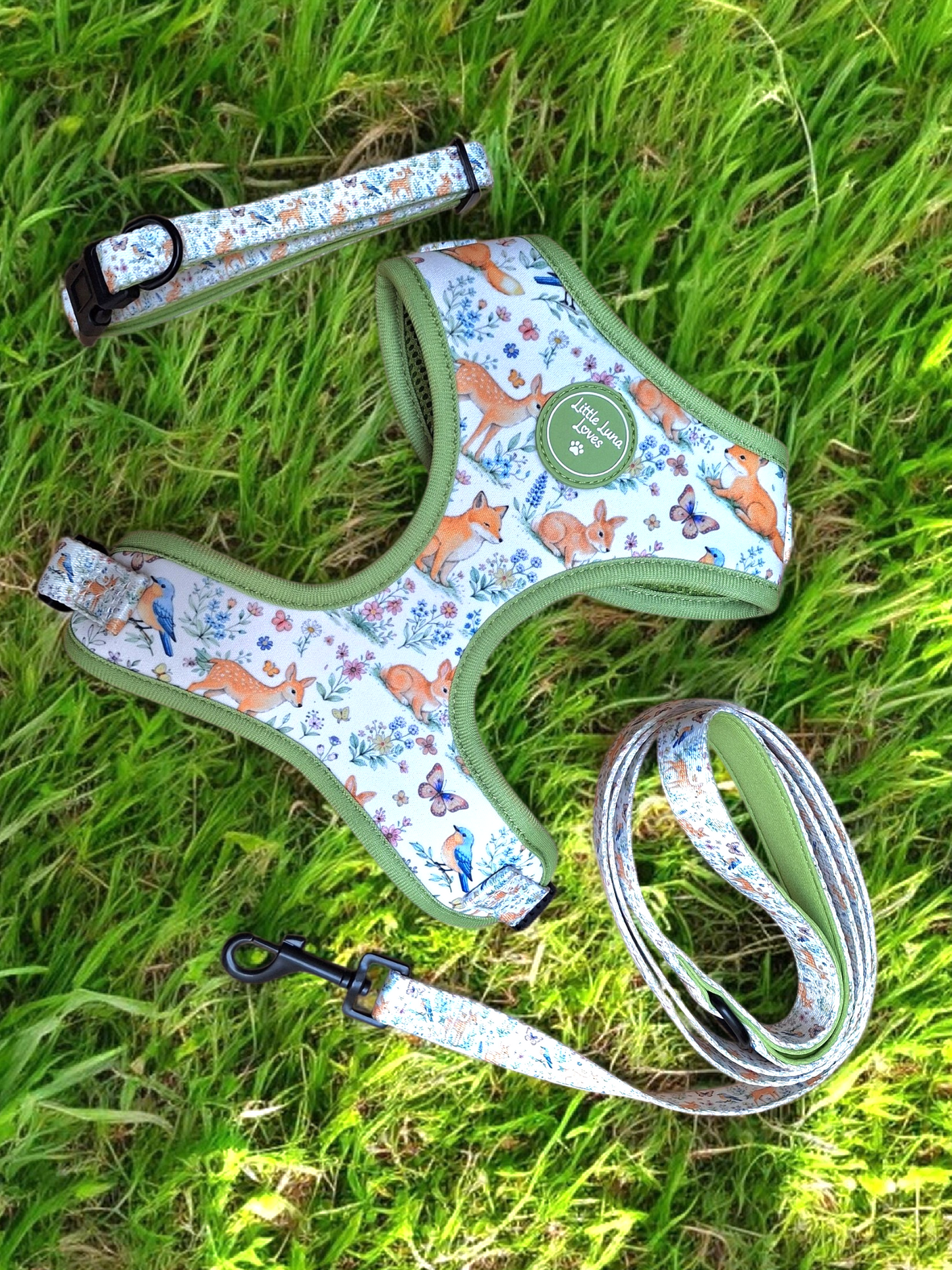 Dog harness, leash, and collar with animal pattern on grass