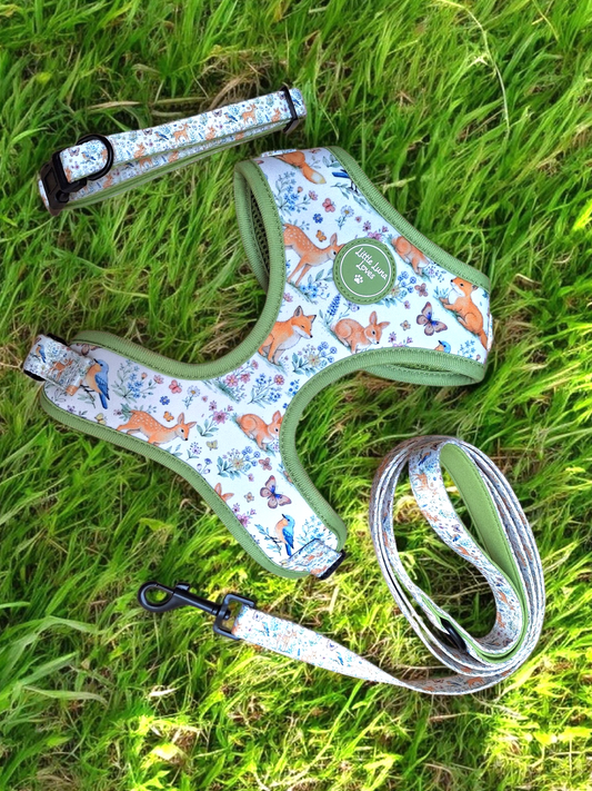 Dog harness, leash, and collar with animal pattern on grass