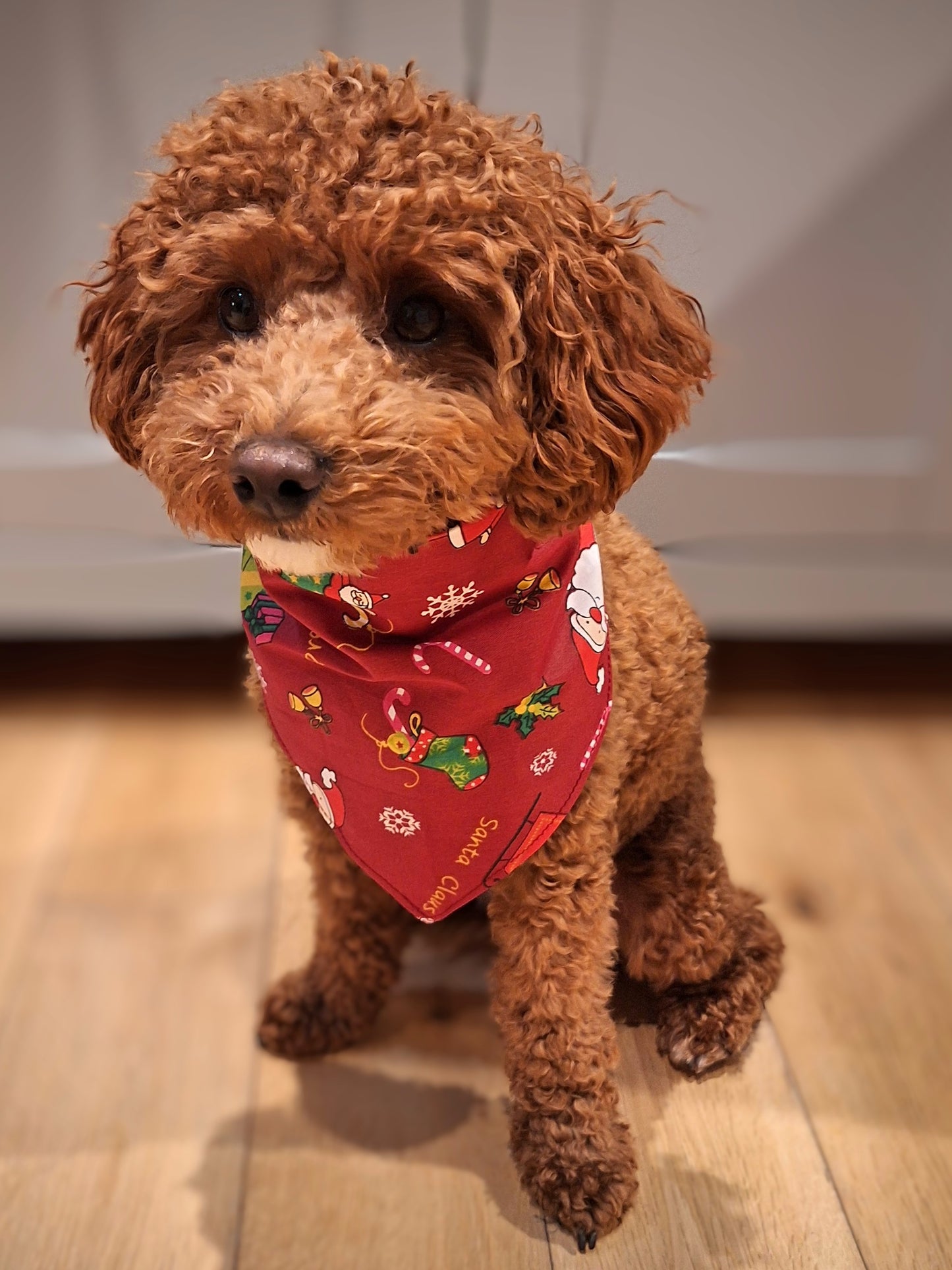 Christmas neck tie bandana