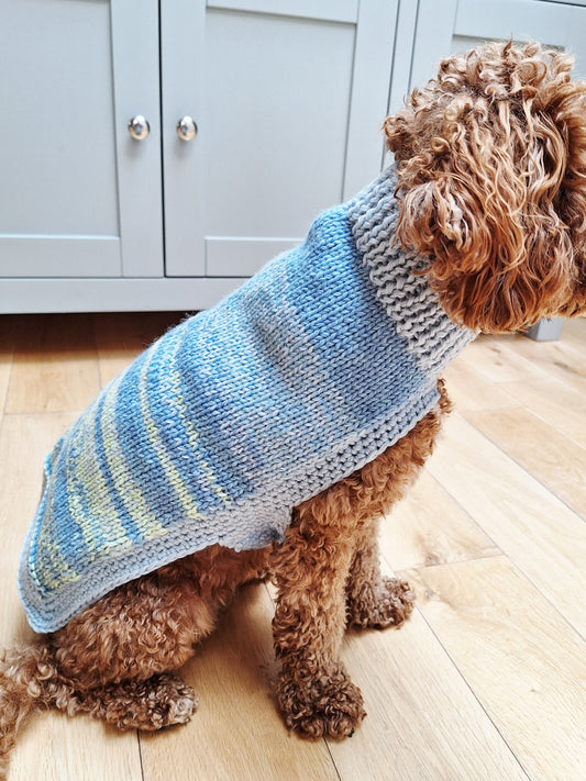 Dog Jumper - Mix