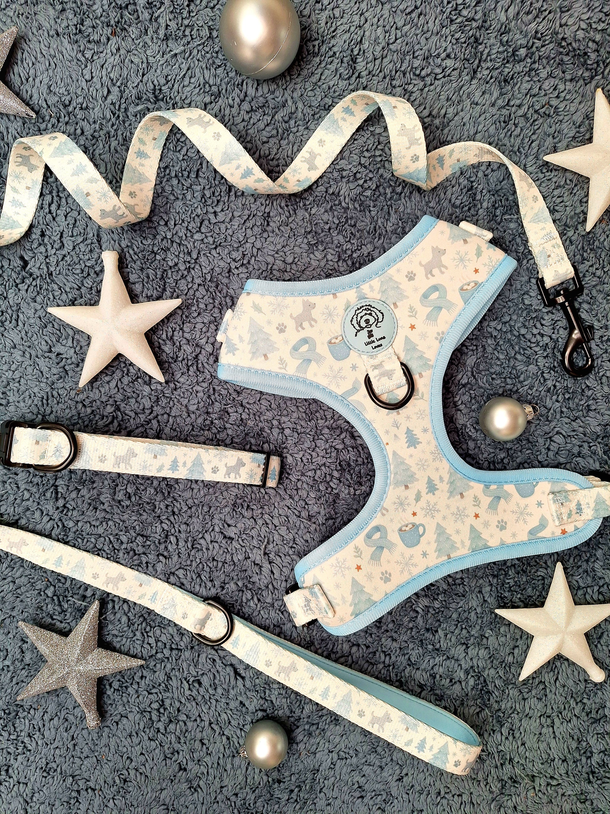 Dog harness and leash set with star pattern on a textured surface