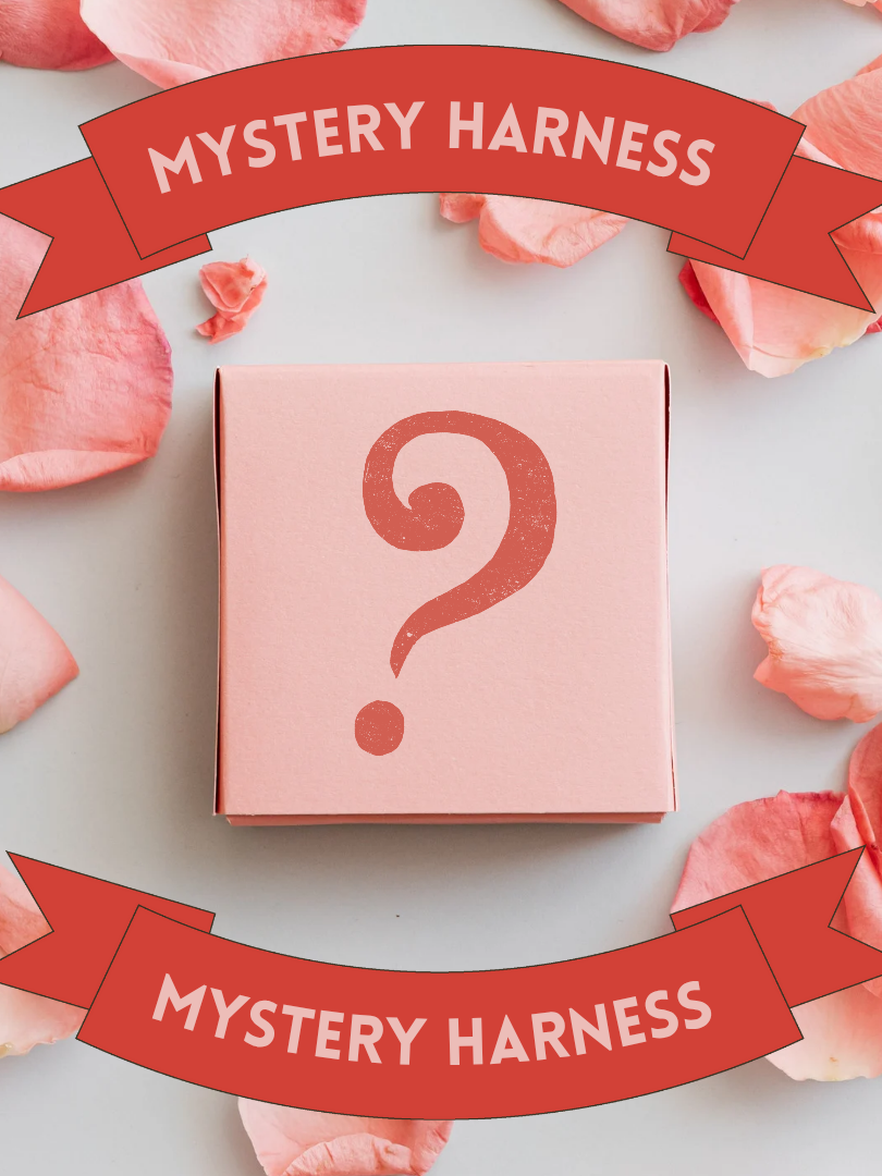 box with a question mark on the front, mystery dog harness inside