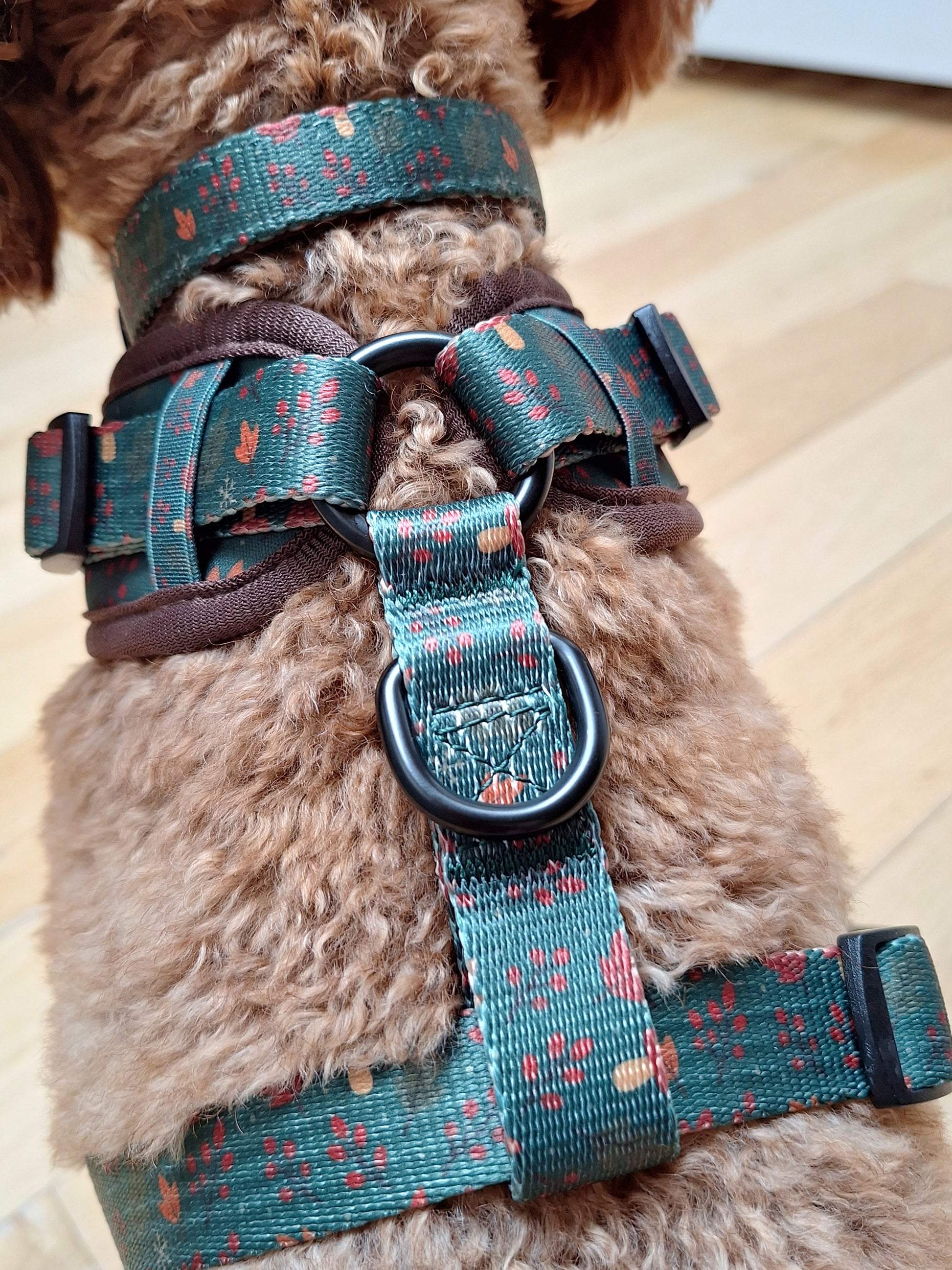 Dog wearing a green harness with red patterns on a wooden floor.