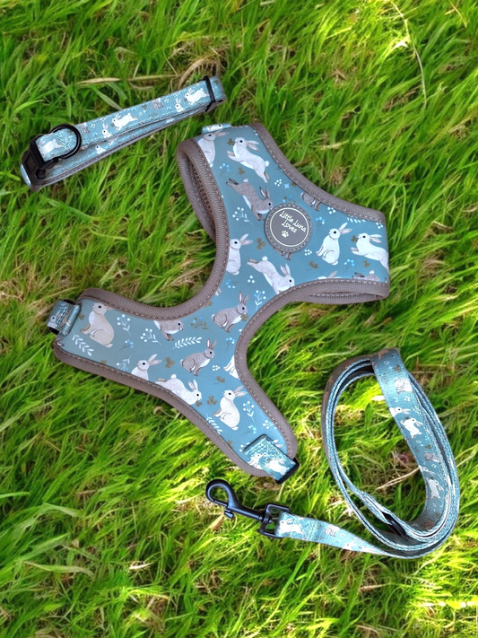 Dog harness, collar and leash with rabbit pattern on grass