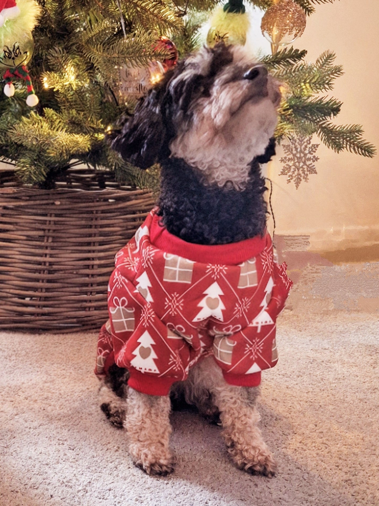 Dog Jumper Christmas