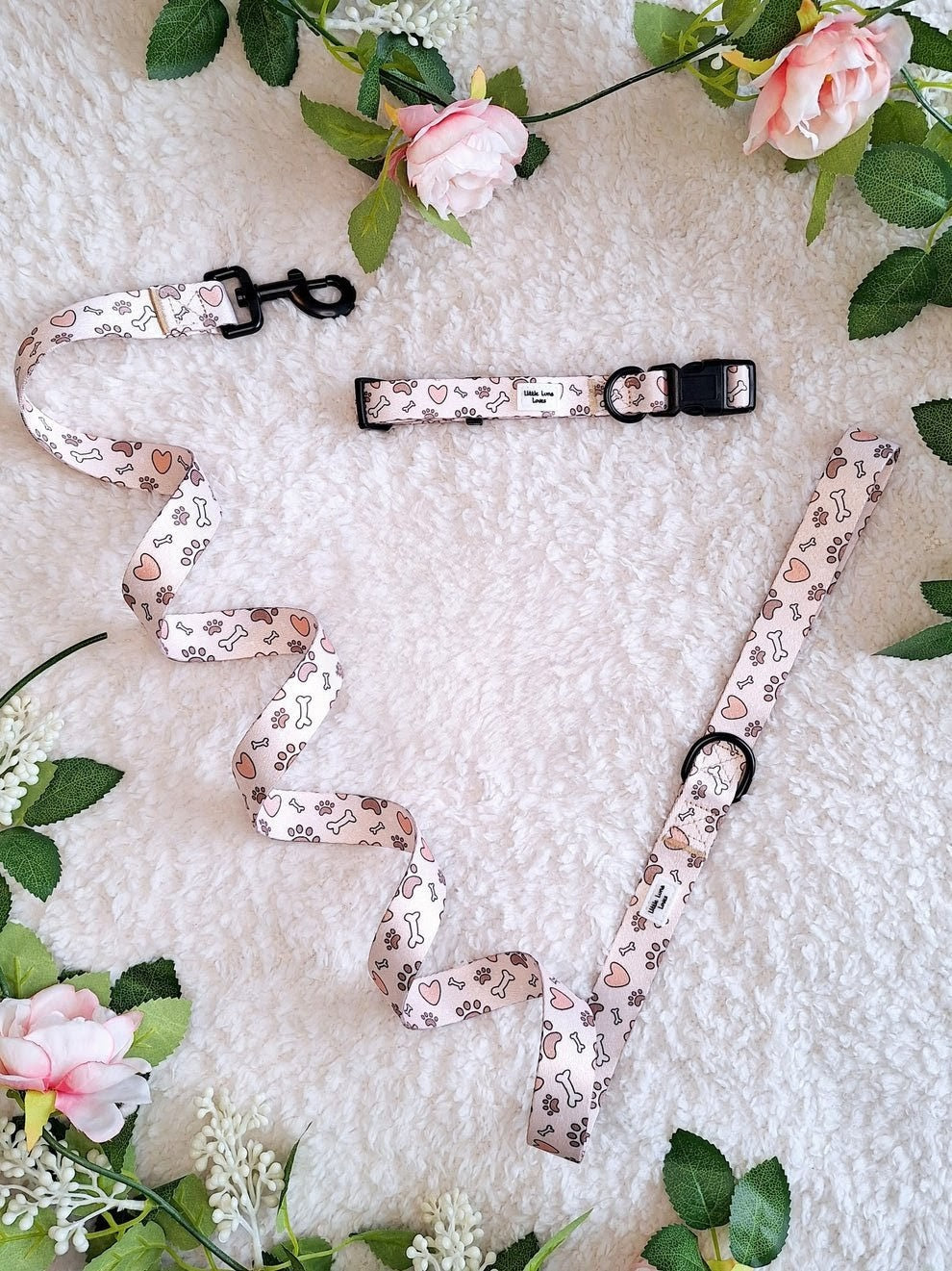 Bone To Be Wild- Dog Collar & Lead set