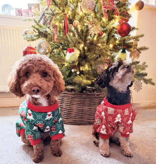 Christmas Dog Jumper