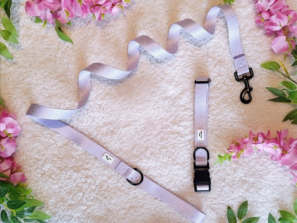 Lavender Luxe - Dog collar & lead set