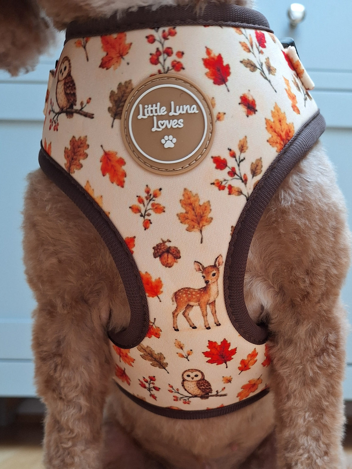Adjustable Dog Harness - Forest & Fawn