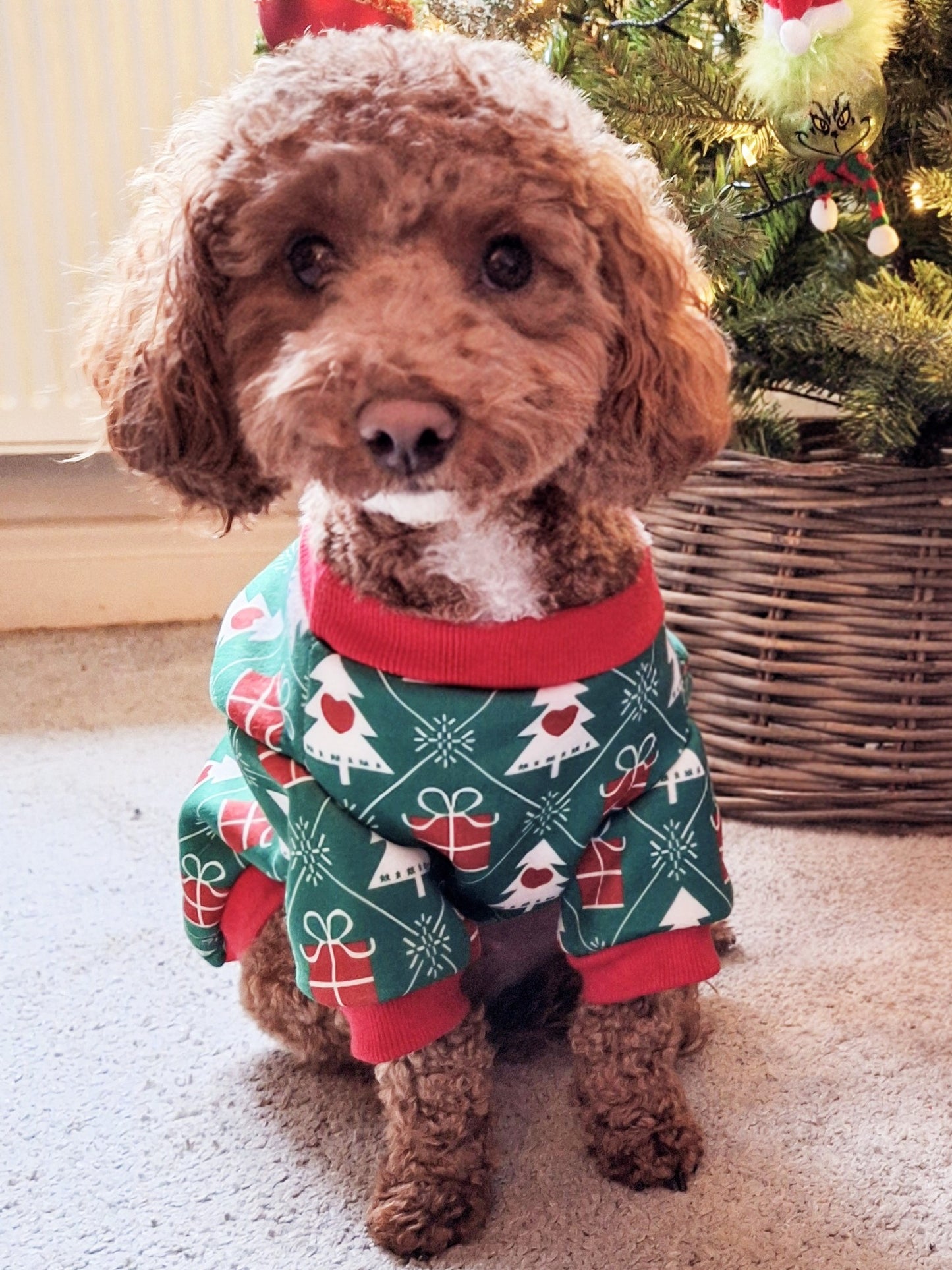 Dog Jumper Christmas