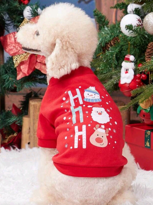 Christmas Dog Jumper