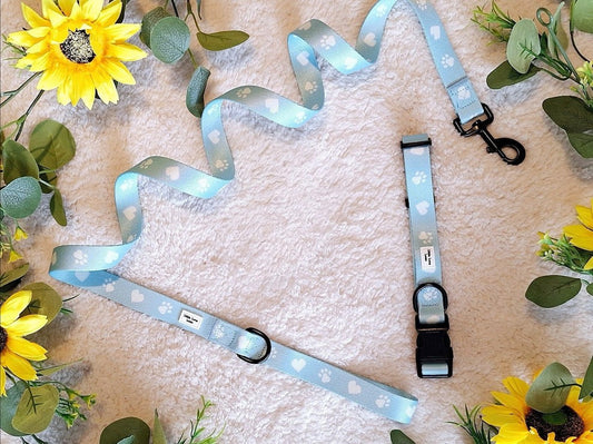Paws For Love- Dog Collar & Lead set
