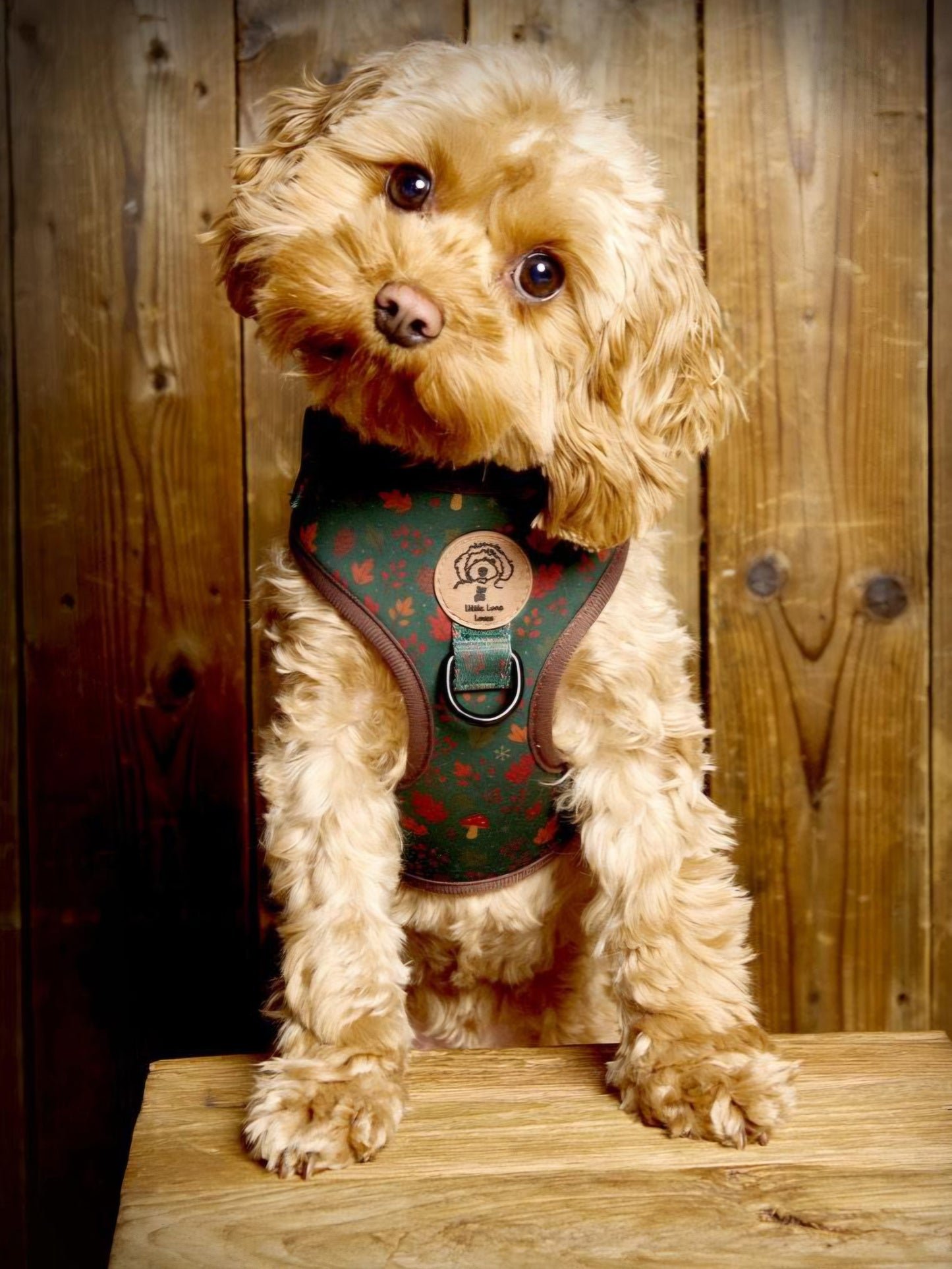 Adjustable Dog Harness - Woodland Walkies