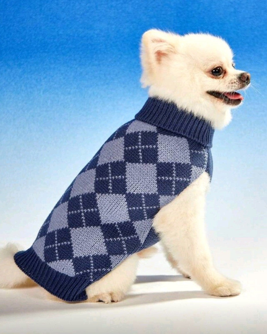 Small dog wearing a blue checkered sweater on a blue background