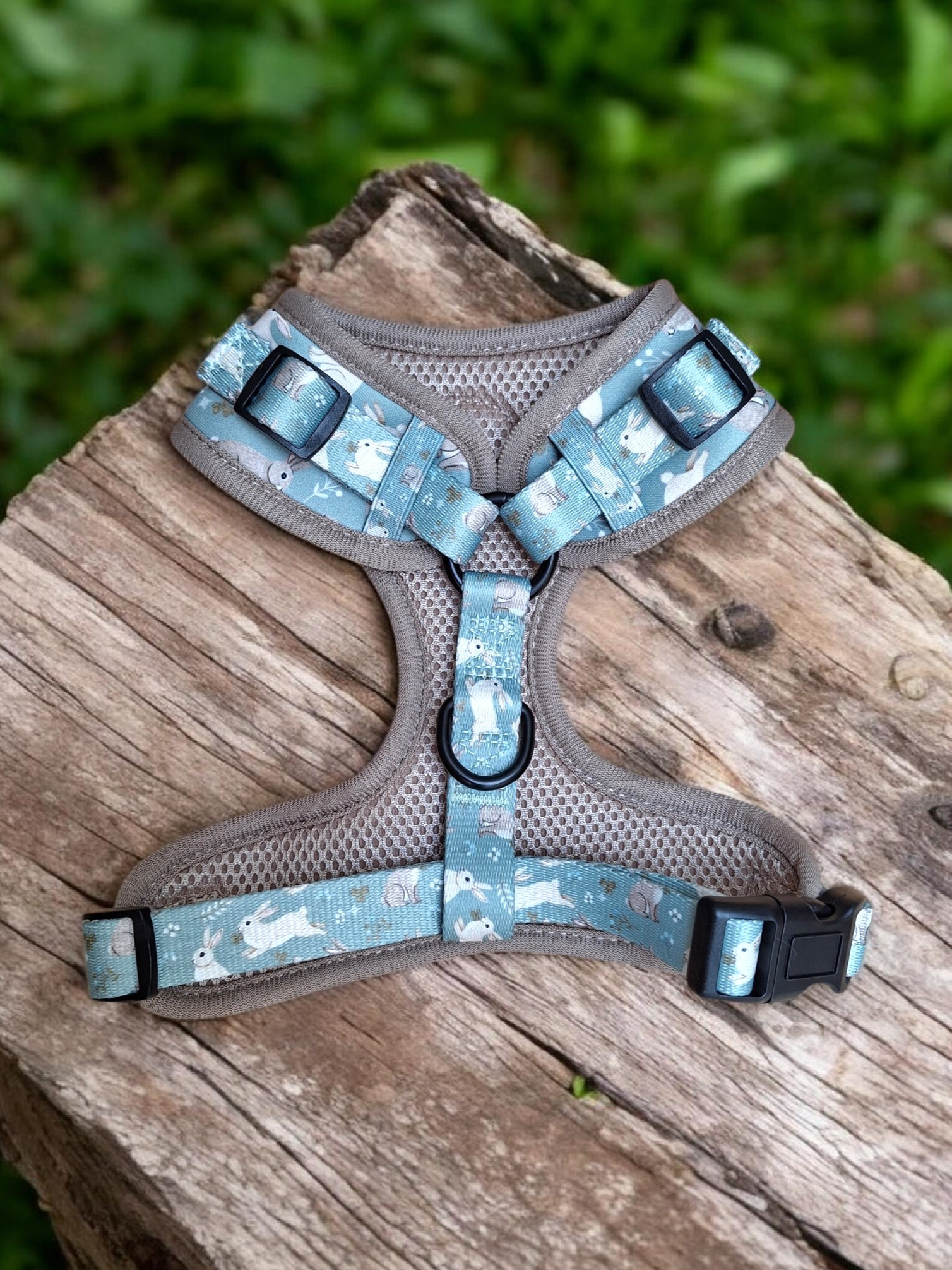 Dog harness with rabbit pattern on a wooden surface