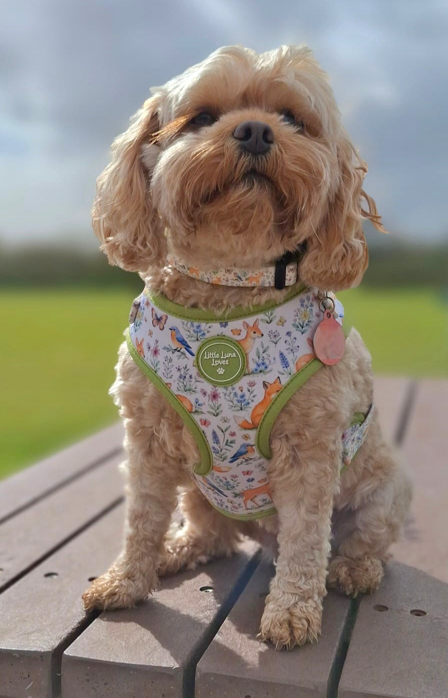 Adjustable Dog Harness - Fox & Flutter