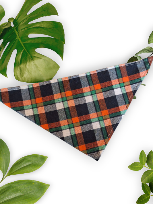 A plaid patterned neck tie bandana laid out flat with a leafy background, showcasing a triangular shape and color patterns.