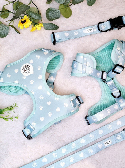Paws For Love 3pcs matching set