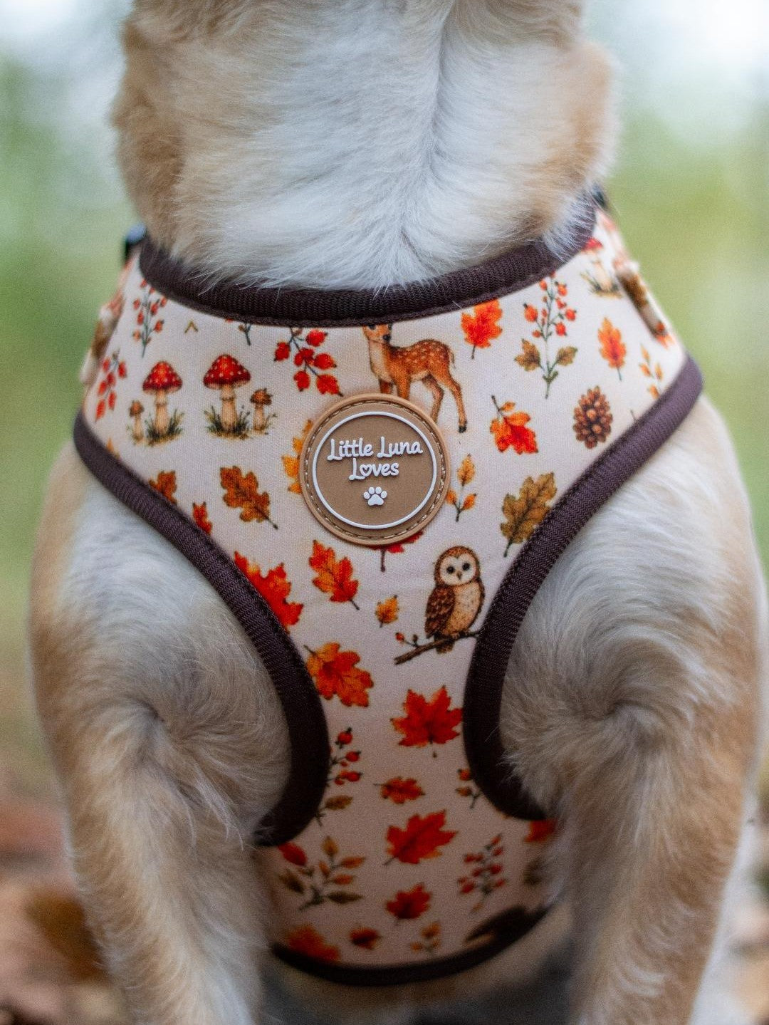 A close-up of a dog wearing a beige dog harness with an autumn leaf and woodland pattern, featuring a round wooden brand badge that reads 'Little Luna Loves'.
